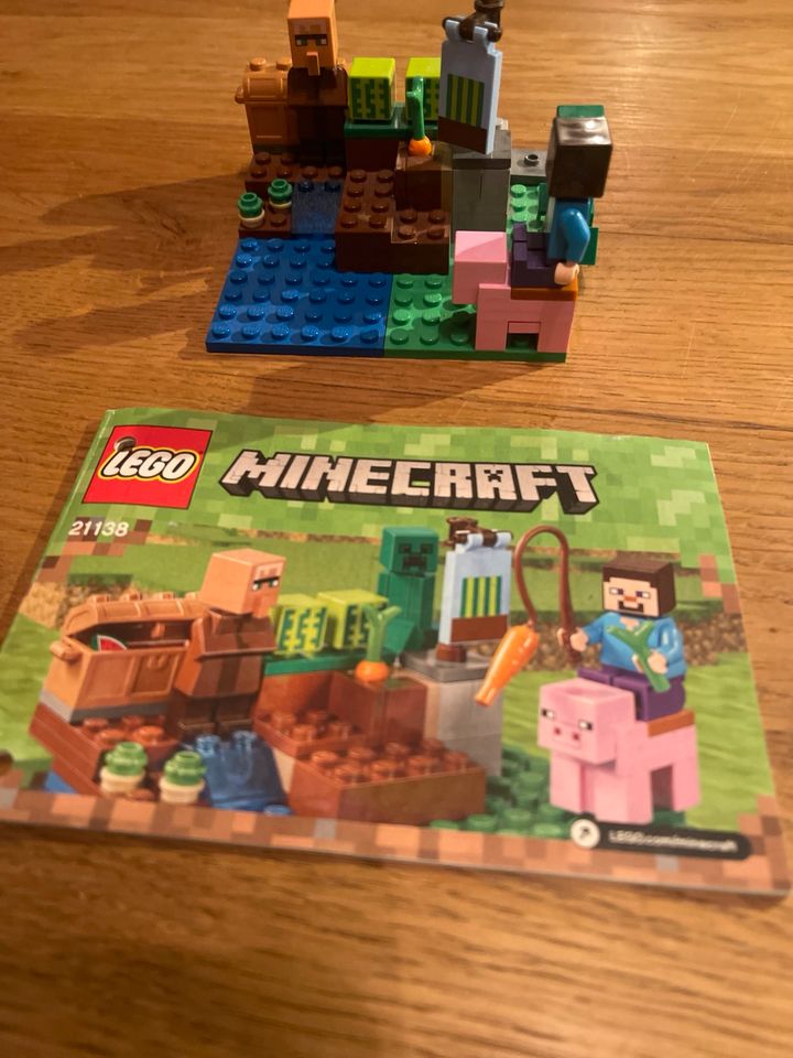 Lego Minecraftsets in Alsdorf