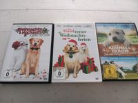 Diverse DVD Filme Wandsbek - Hamburg Jenfeld Vorschau