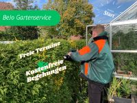 Gärtner Gartenservice Gartenpflege Rasenmähen Terrassenreinigung Kiel - Gaarden Vorschau