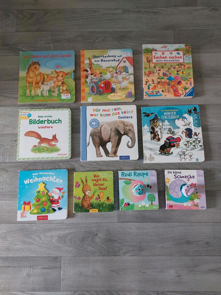 Buch,  Bücher  Kind, Kleinkind  kleiner Maulwurf, Soundbuch in Meiningen