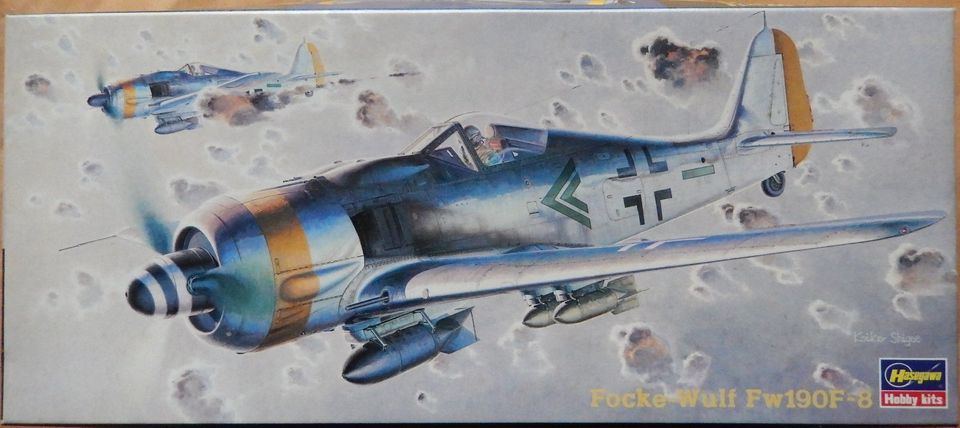 Focke-Wulf Fw 190F-8 M 1/72 in Horgenzell