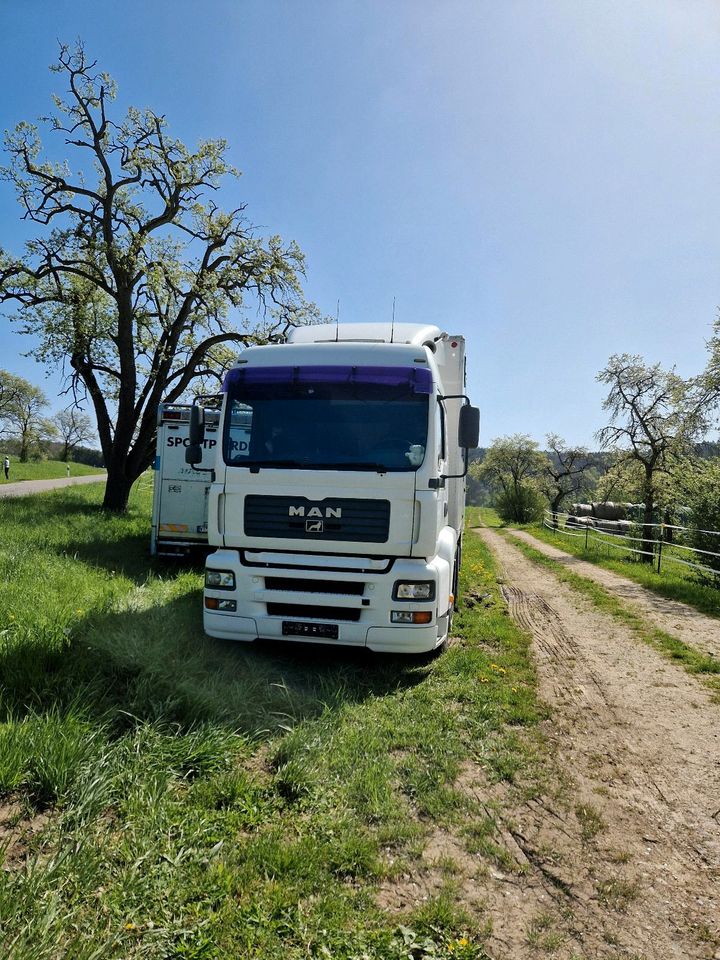 Zugmaschine MAN in Hohentengen am Hochrhein