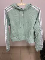Bauchfreier Hoodie Brandenburg - Stahnsdorf Vorschau