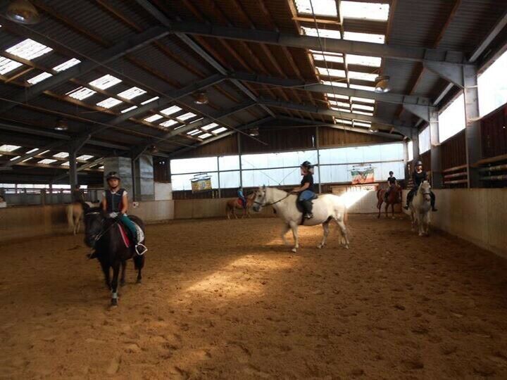 Reiterferien Reitferien Ferienlager Sommerferien in Lübeck