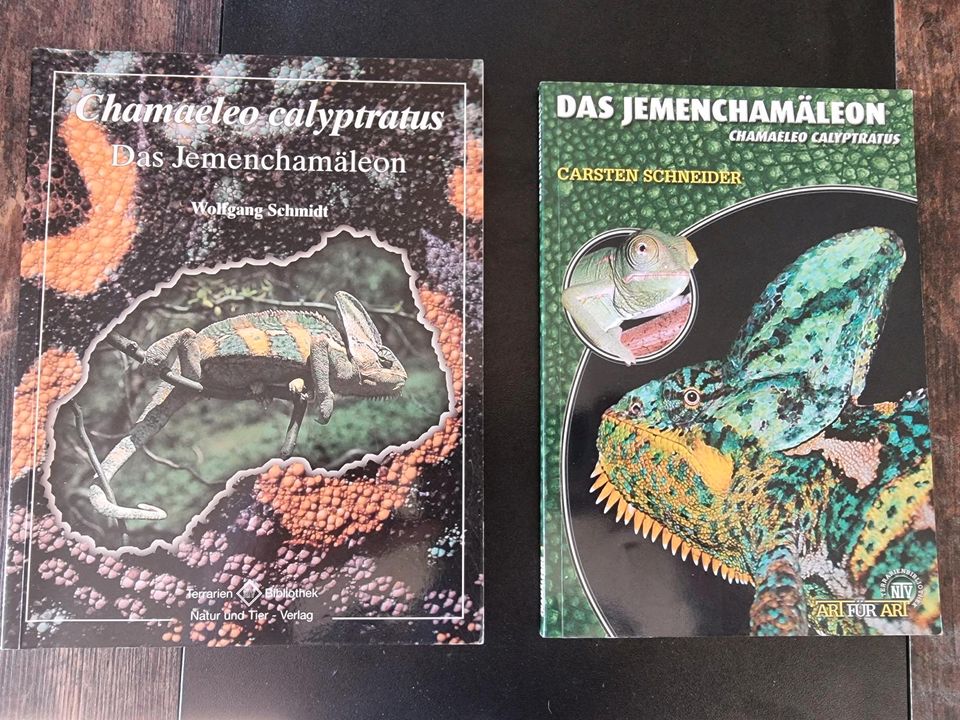 Chamäleon Bücher Terrarium Terraristik Reptilien in Wuppertal