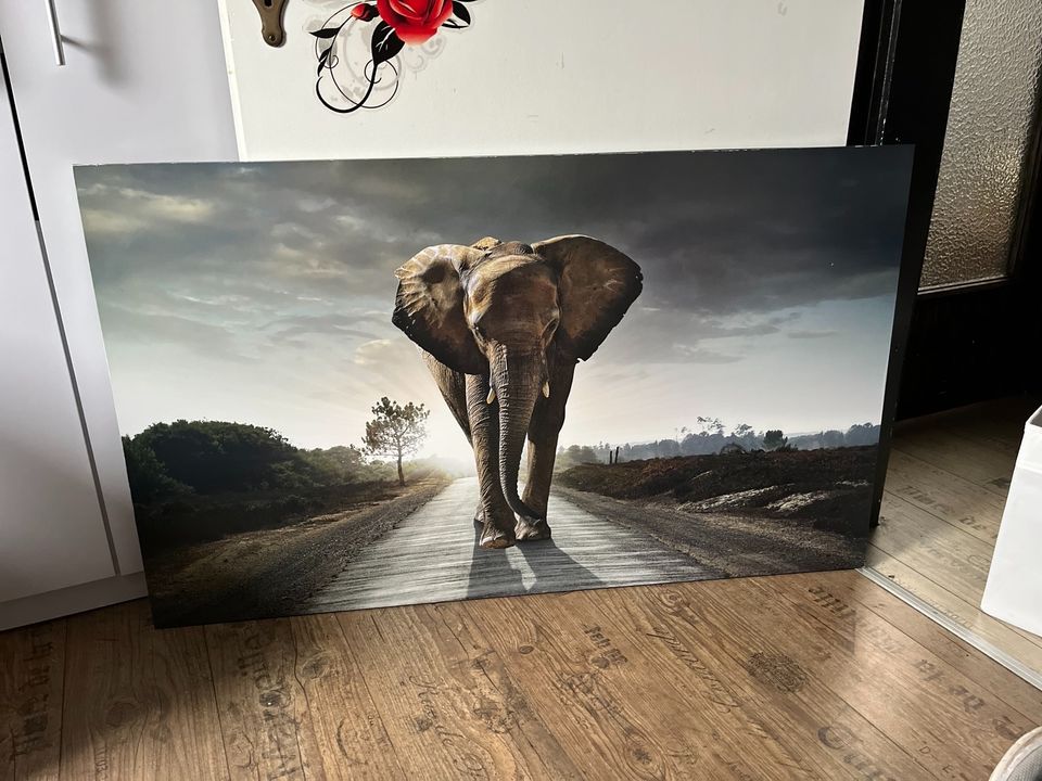 Bild Elefant in Rehburg