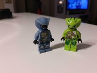 LEGO Ninjago Minifigur,lasha,  neuwertig Schleswig-Holstein - Quarnbek Vorschau