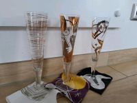 Ritzenhoff Champagner Gläser Sammelgläser Rheinland-Pfalz - Thalfang Vorschau