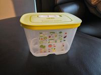 Tupperware Klima Oase 1,8 l hoch neu Baden-Württemberg - Weil im Schönbuch Vorschau