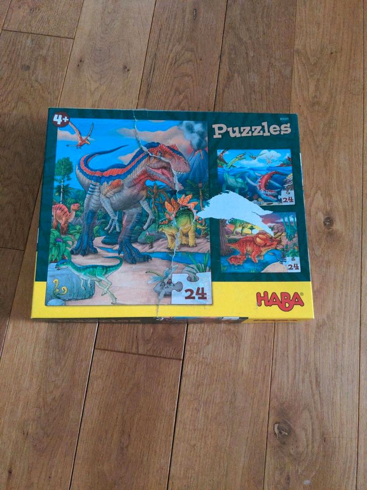 Verschiedene Kinder Puzzle Dinosaurier, paw patrol in Lübbecke 