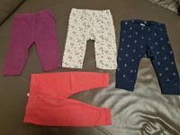 Set 4 Leggings, Gr. 62/68 Dresden - Gompitz Vorschau