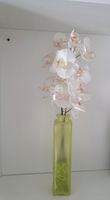 Orchidee weiß in Vase grün mit Dekosteine grün Berlin - Hellersdorf Vorschau