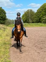 Reitbeteiligung (Reiter sucht Pferd / Pony) Kreis Pinneberg - Schenefeld Vorschau