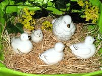 5 weiße, dekorative Vögel (3 Enten, Eule, Taube), Deko, Floristik Niedersachsen - Georgsmarienhütte Vorschau