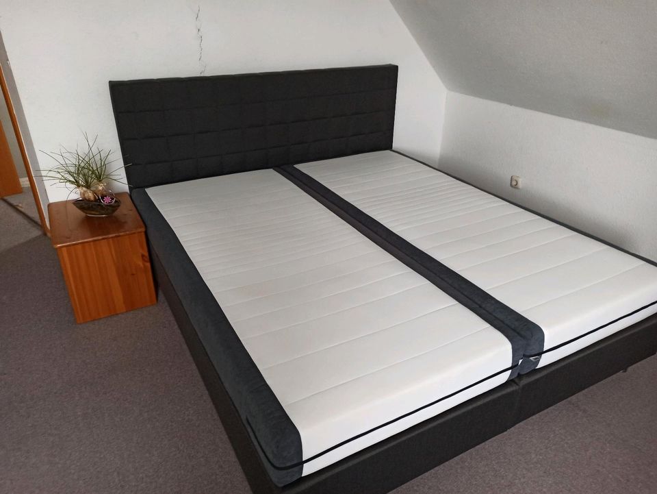 Boxspringbett grau 180x200cm inklusive Topper in Königsbrunn