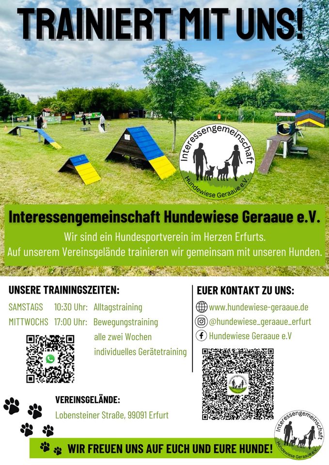 Hundesport Hundeverein Hundetraining in Erfurt