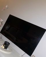 Fernseher LG OLED 55 B8LLA defekt Hessen - Wiesbaden Vorschau