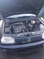 VW Golf 3 Front/ Maske in Schwarz Hessen - Lich Vorschau