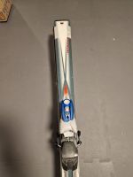 Herren Ski Scott USA M1100 VED 175 cm Länge Rheinland-Pfalz - Mainz Vorschau