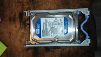 Western Digital Festplatte 160 GB HDD Baden-Württemberg - Weingarten Vorschau