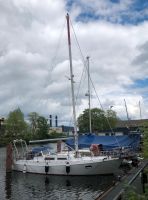 Boot SY / Seahawk 31 L Altona - Hamburg Ottensen Vorschau