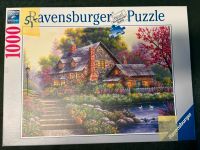 Verschiedene Puzzle, 1000 Teile, meist Ravensburger und Schmidt Niedersachsen - Hameln Vorschau