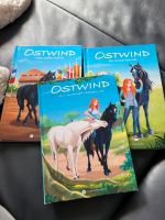 Ostwind Erstleser 3 Bücher Schleswig-Holstein - Itzehoe Vorschau
