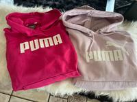 Puma Hoodies Gr. S (36) wie neu pink rosa Hoodie Bayern - Ebermannstadt Vorschau