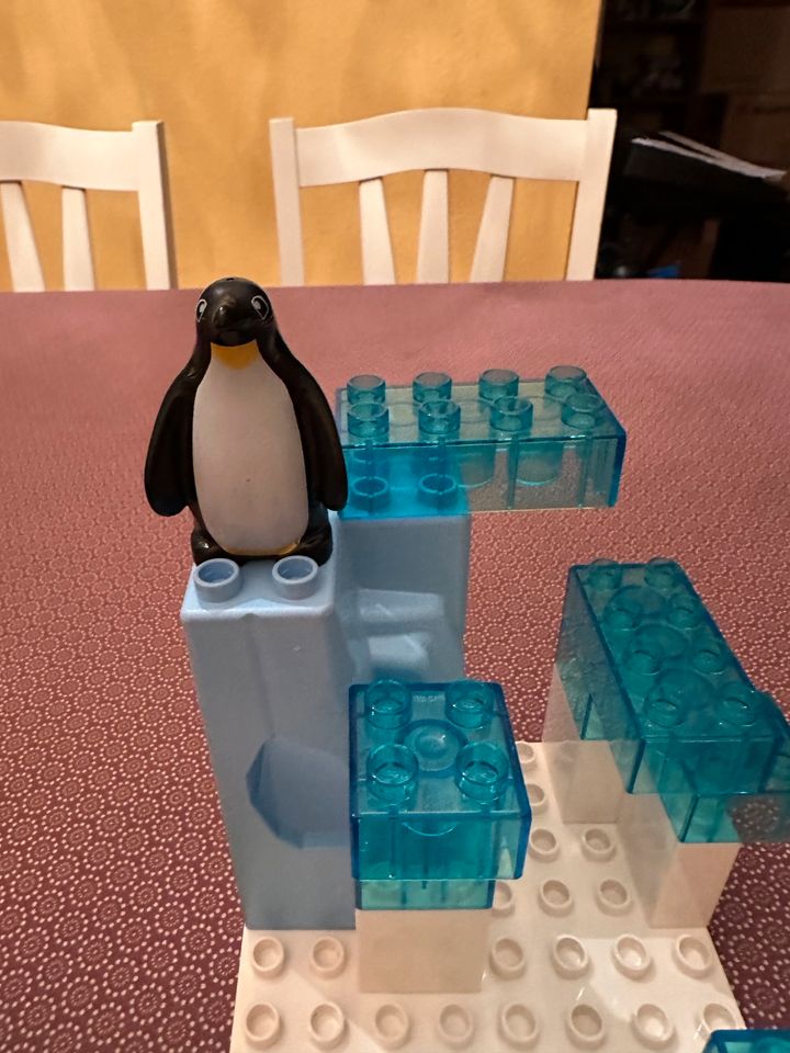Lego Duplo Eisbär und Pinguin im Zoo in Heist