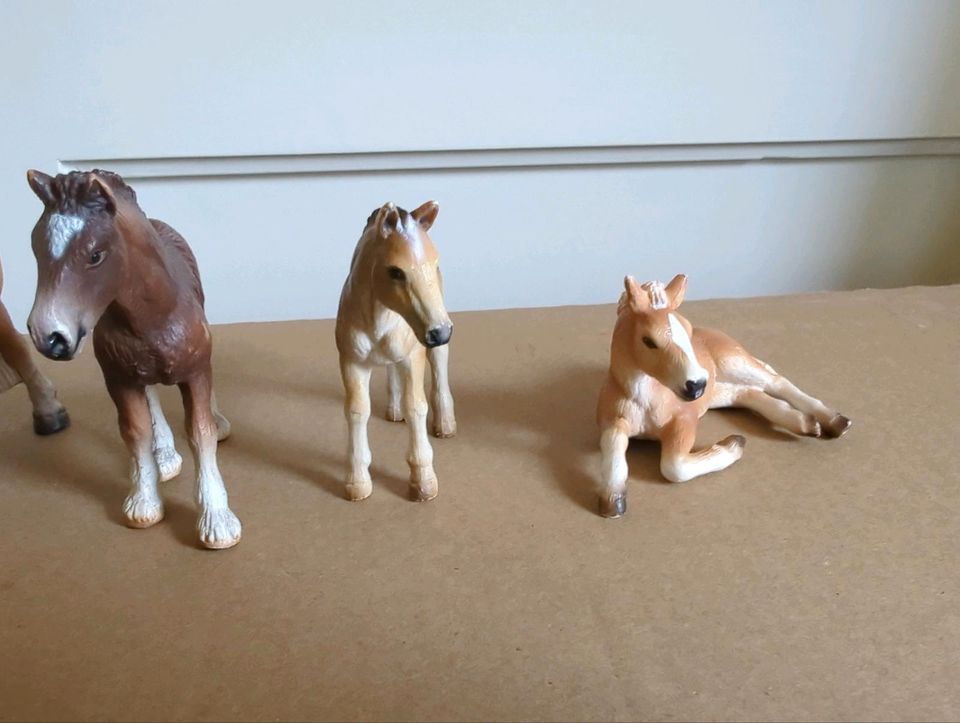 5 Schleich Pferde in Seelze