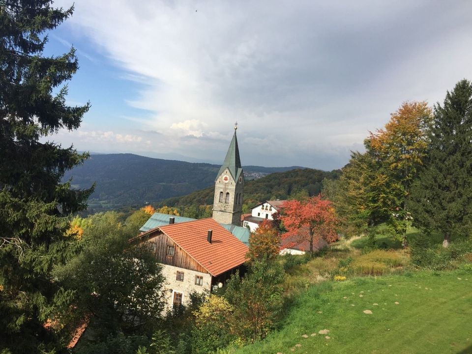 Bayerischer Wald auf 800 m Höhe -Willkommen in Schöfweg