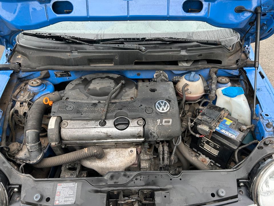 VW Lupo 1.0 in Minden