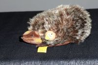 Steiff Igel Joggi - 10er - KFS Niedersachsen - Westoverledingen Vorschau