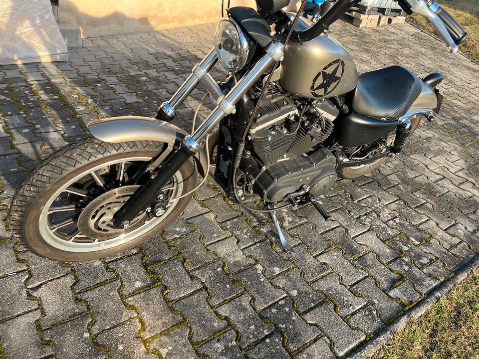 Harley Davidson Sportster XL883R in Cham