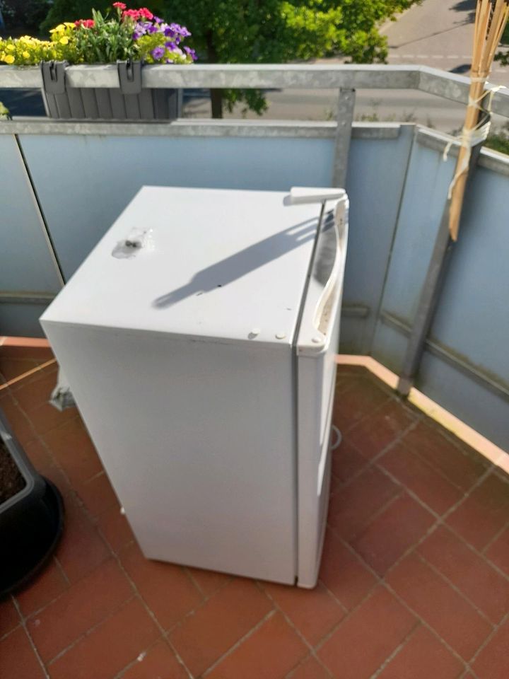 Kühlschrank mit Gefrierfach in Gifhorn