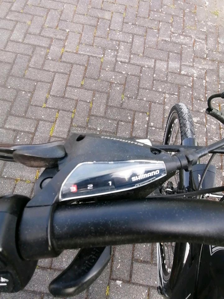 E Bike Tracking Rad 28" in Birnbach