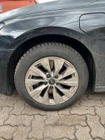 4x Bridgestone Blizzak LM005 Winterreifen 205/55 R16 Hamburg-Nord - Hamburg Eppendorf Vorschau