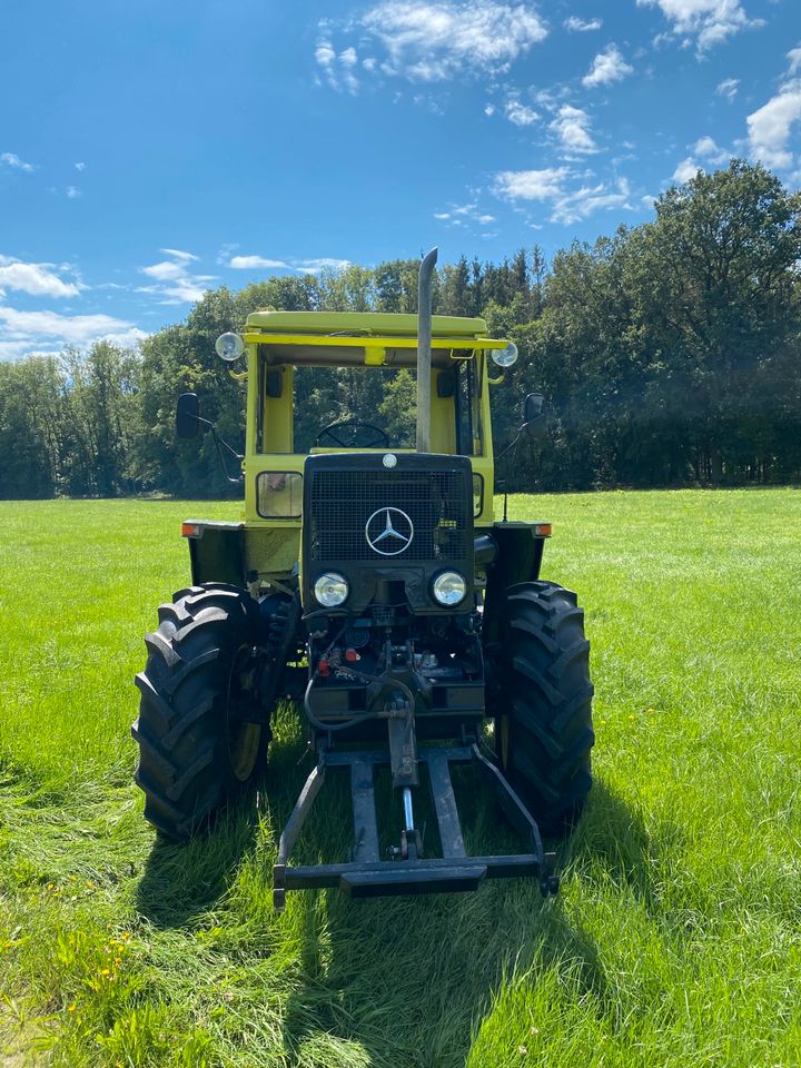 MB Trac 800 mit Turbo in Gallmersgarten