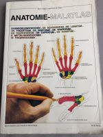 Anatomie Malatlas Arcis Verlag Rheinland-Pfalz - Müden  Vorschau