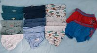 19 Slips Shorts Unterhosen H&M Gr. 92 Dinos Spiderman Uni blau Berlin - Reinickendorf Vorschau