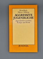 Aggressive Jugendliche - Jugendarbeit zwischen Kneipe und Knast Nordrhein-Westfalen - Siegburg Vorschau