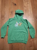 Bibi & Tina Hoodie Kapuzen Pullover 134 146 grün Nordrhein-Westfalen - Korschenbroich Vorschau