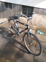 Herren Fahrrad 28 zoll Duisburg - Walsum Vorschau