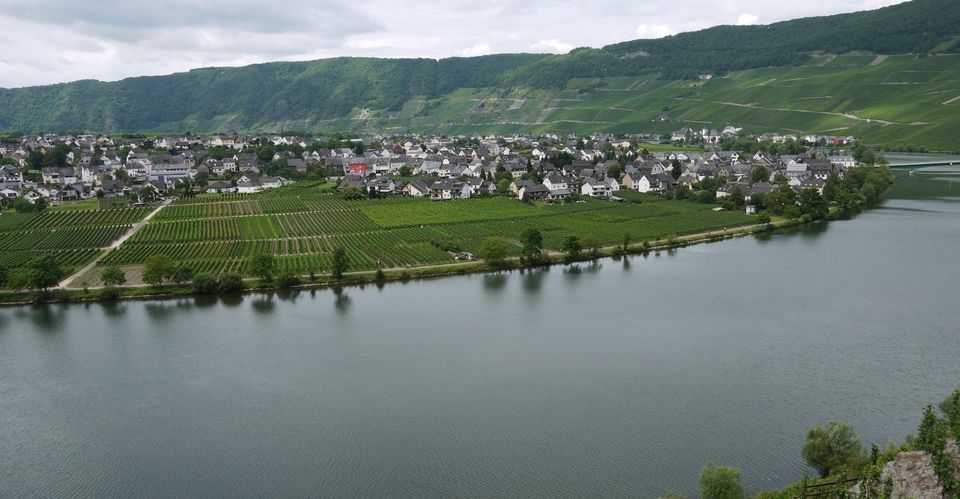 Ferienwohnung direkt an der Mosel gelegen in Piesport Ferres in Piesport