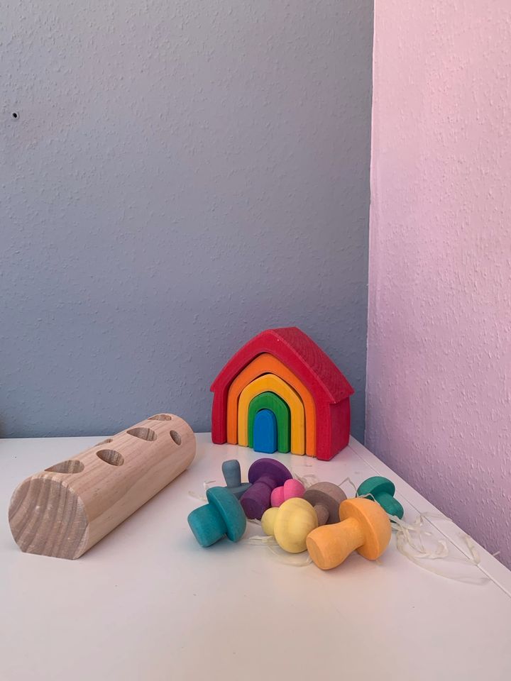 NEU Holzspiel Montessori Steckspiel Pilze Waldorf Pastell in Iserlohn