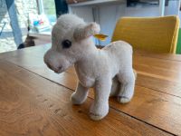 Steiff Lamm Lamby 3790/18 Rarität vermutlich 80er Jahre Sammler Baden-Württemberg - Kirchberg an der Murr Vorschau