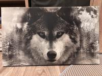Bild Leinwand Wolf Sachsen-Anhalt - Halle Vorschau