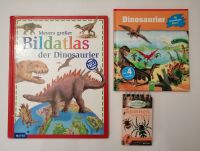 2 Dinosaurier-Bücher & 1 Spinnen und Insekten-Buch Nordrhein-Westfalen - Delbrück Vorschau