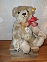 Steiff Teddybär Classic 1909 Mohair blond mit "BrummStimme" Nordrhein-Westfalen - Siegburg Vorschau