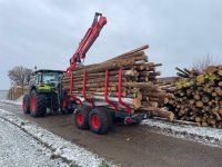 Forstarbeiten Holzarbeiten Holzrücken Holzernte Durchforstung Bayern - Wörth an der Isar Vorschau